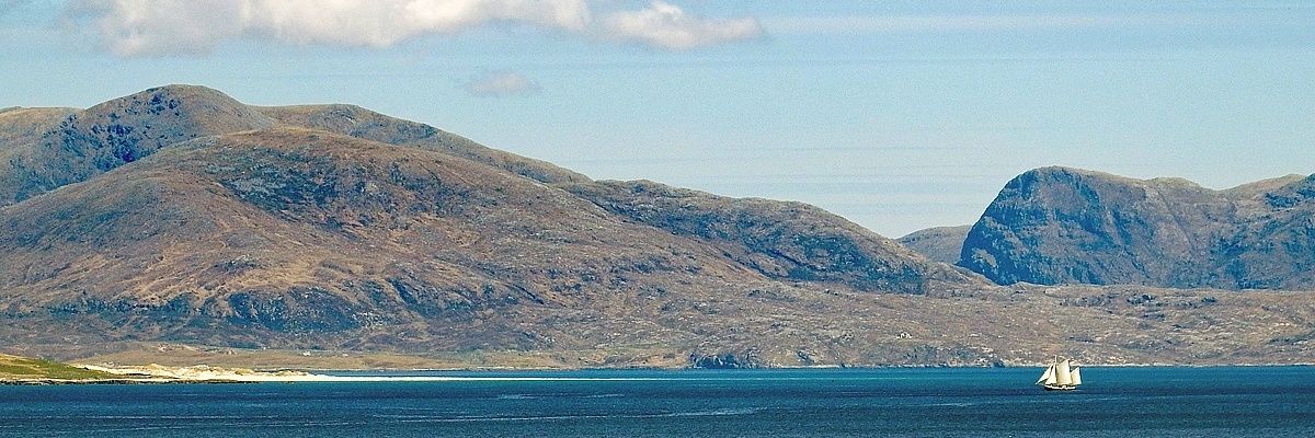 PeterTiger10's profile banner image