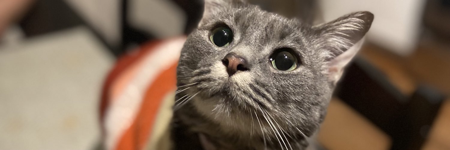 MariaOlga09's profile banner image