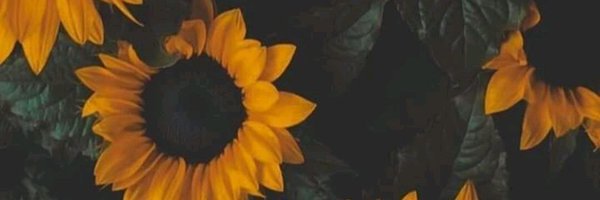 Marinalambiis's profile banner image