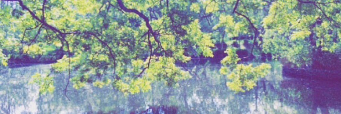 domebg's profile banner image