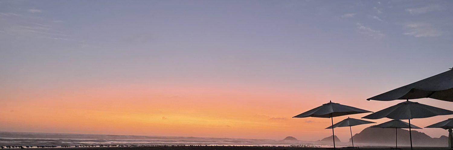 alilaccat's profile banner image