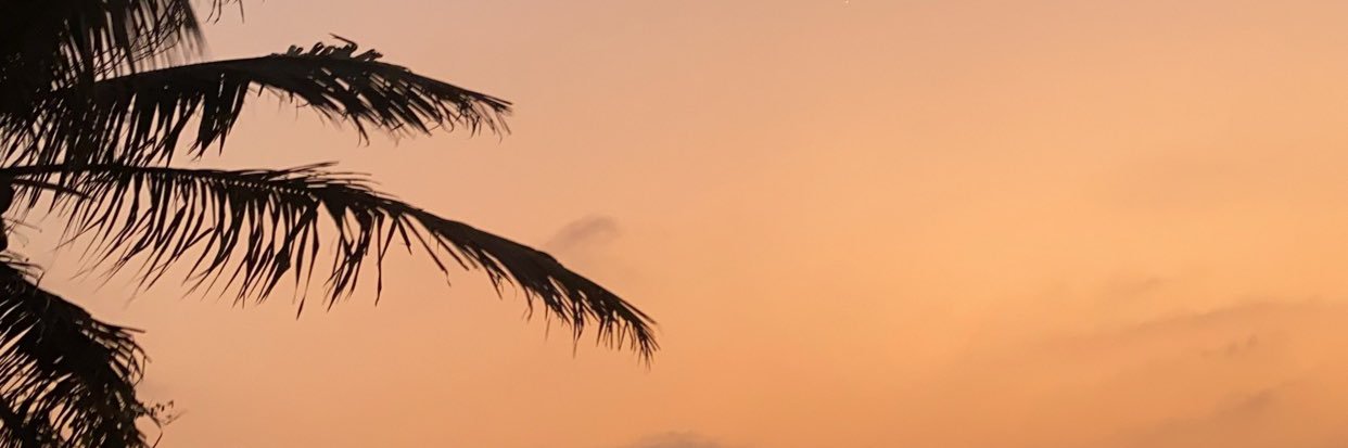 AleTorresC1's profile banner image