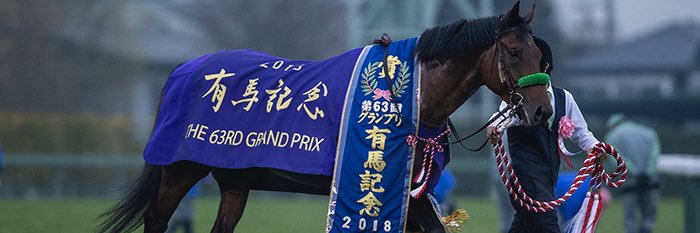 🏇だんぶれ🏇家で馬飼ってる奴🏇 banner