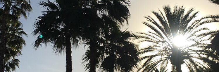 mtshuttleworth's profile banner image