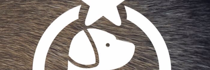 BebieFreeze's profile banner image