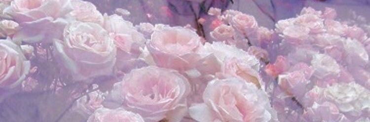 𝐊🌷 banner
