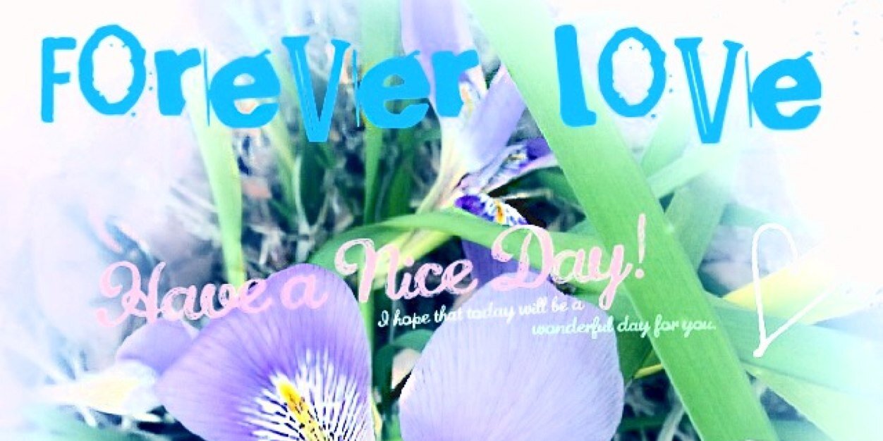 teatimebird's profile banner image