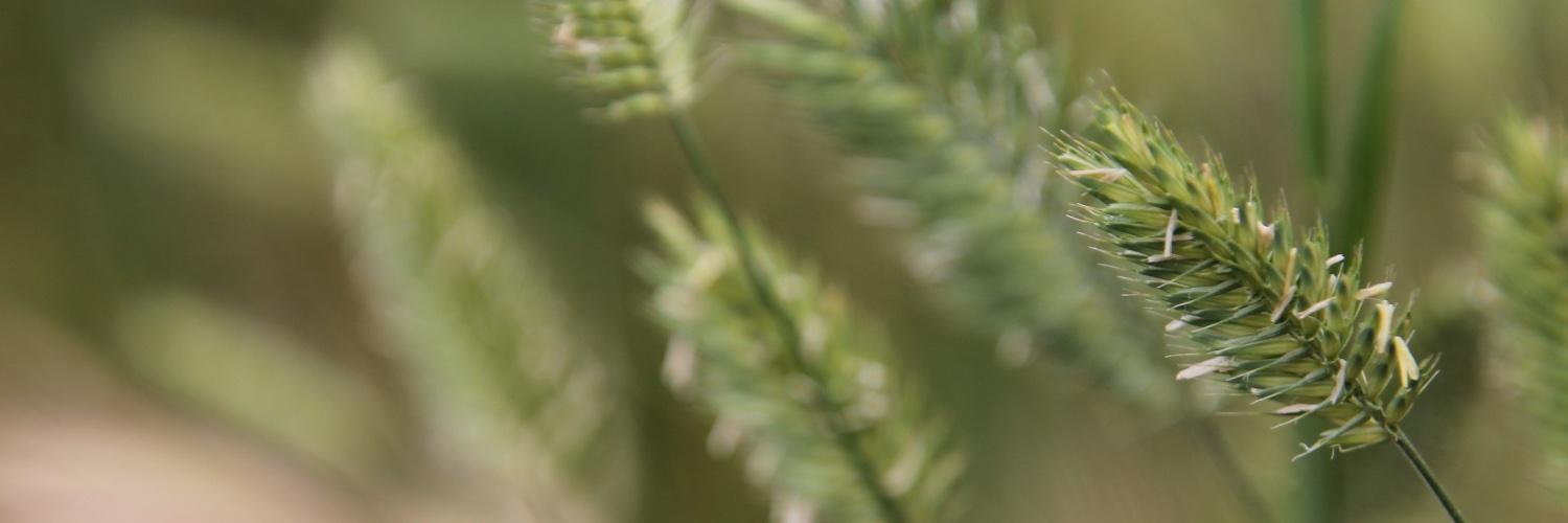 lastwordYVR's profile banner image