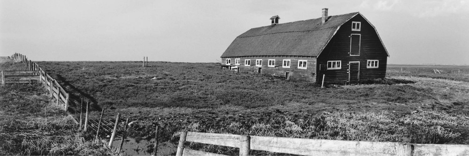 Sunterra Market banner