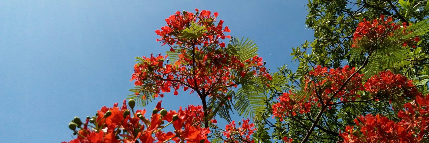 intervalolibre's profile banner image