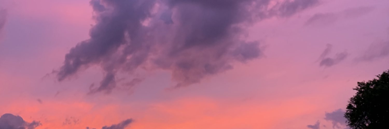 Marissa Morrison banner