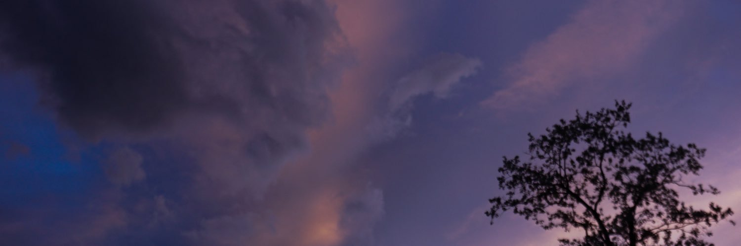 beefydolin's profile banner image