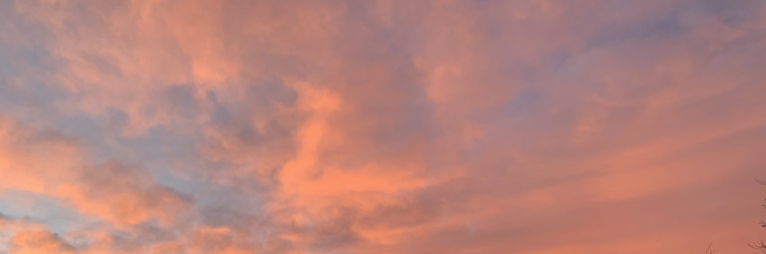 Aislyn_Lee's profile banner image