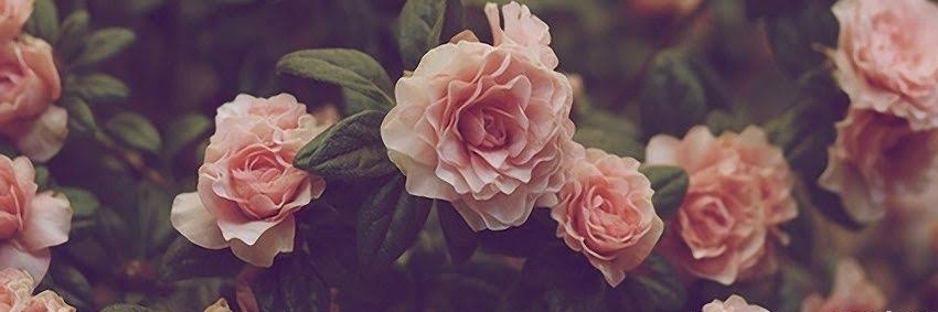 6abriela's profile banner image
