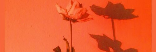 PrincessHan__'s profile banner image