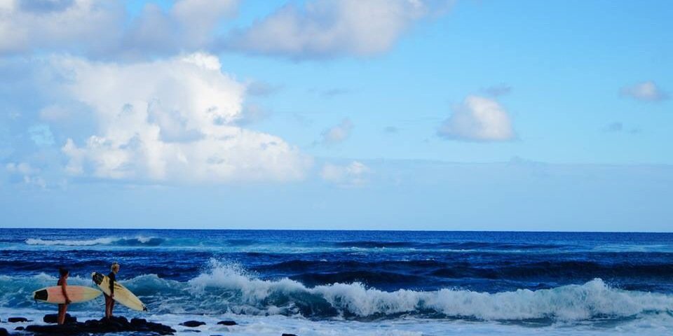 redherringsurf's profile banner image