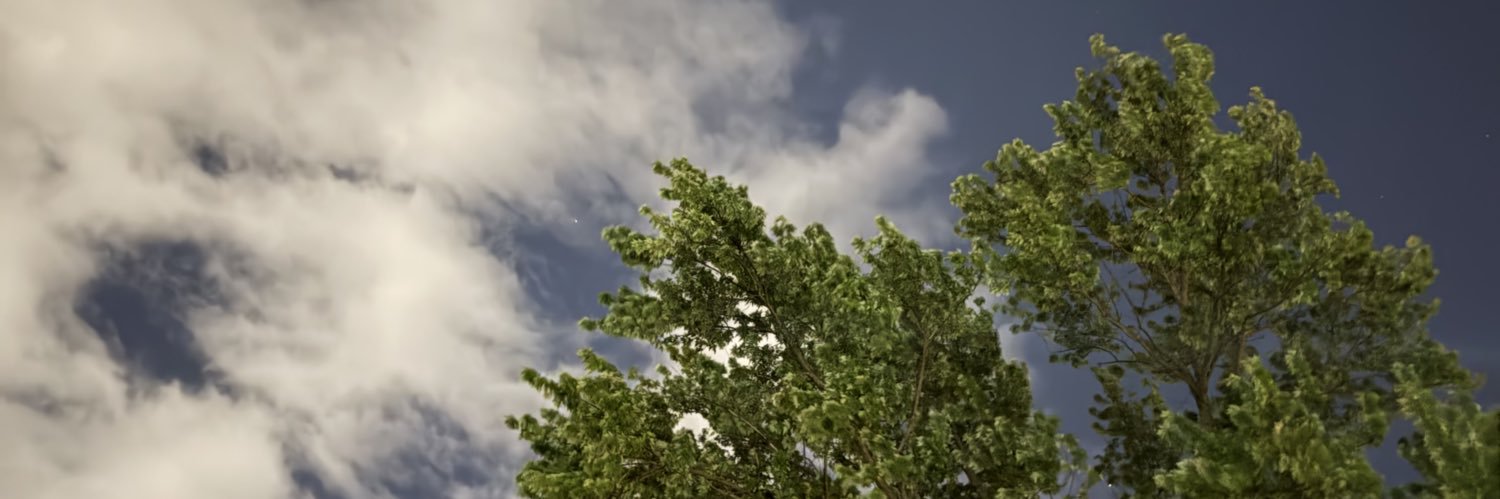 stepdontwalk's profile banner image