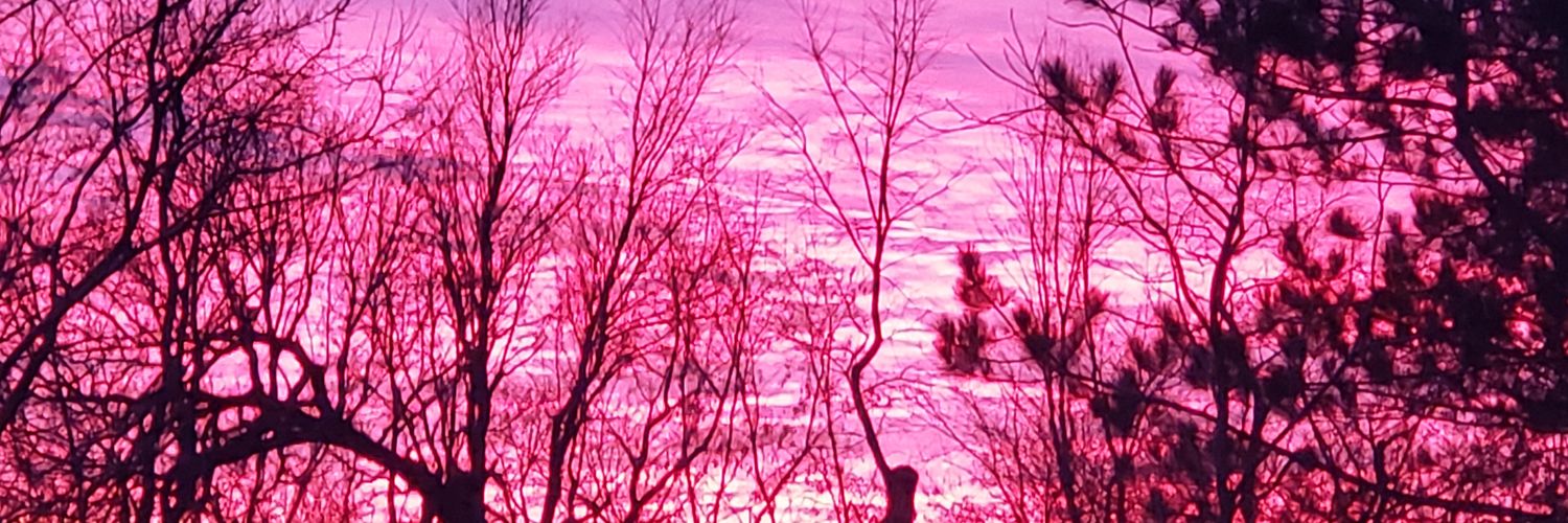 solaar's profile banner image