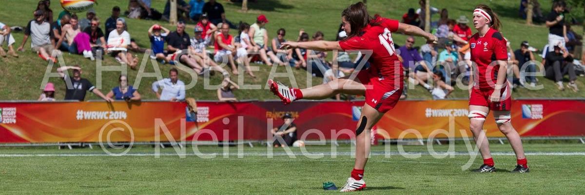 Robyn Wilkins banner