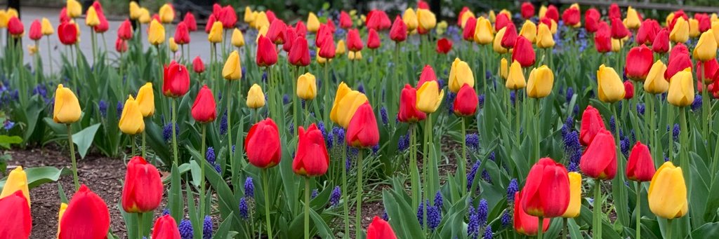 Abingdon_Square's profile banner image