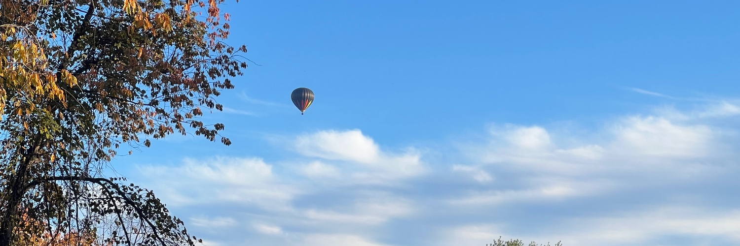 renayzamloot's profile banner image