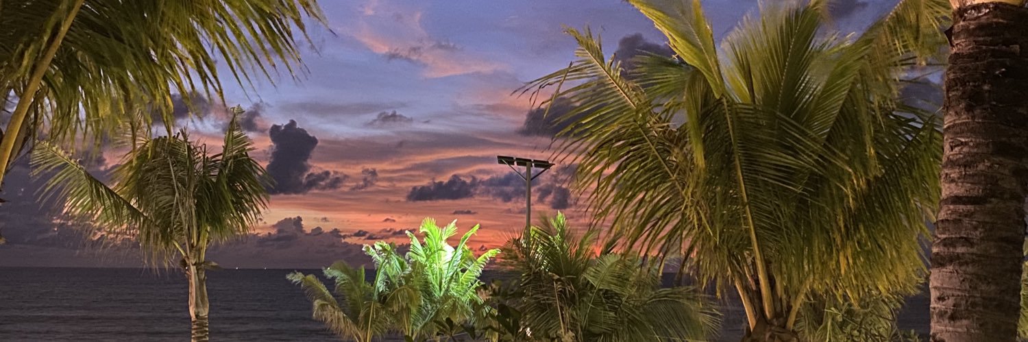 🐘 banner