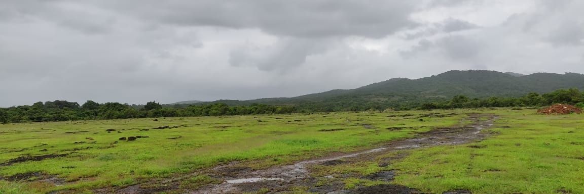 pulaksh's profile banner image