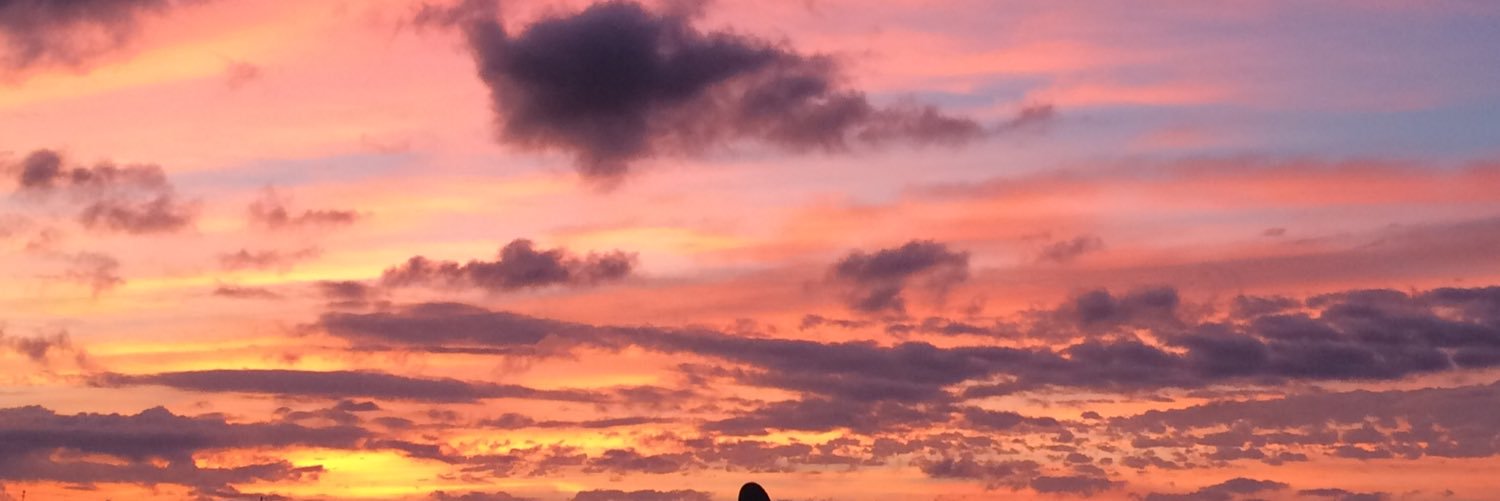 JoyofEmily's profile banner image