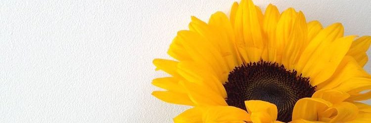 FinaGilalom's profile banner image