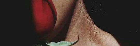 _SofyCastillo's profile banner image