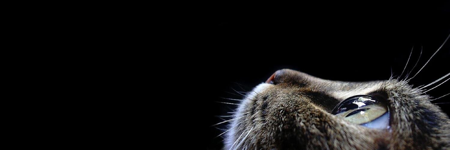 GrefTianpraserd's profile banner image