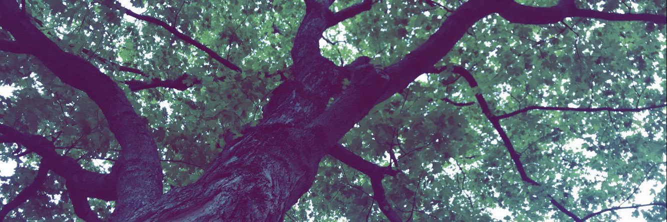 KassidyAshmann_'s profile banner image
