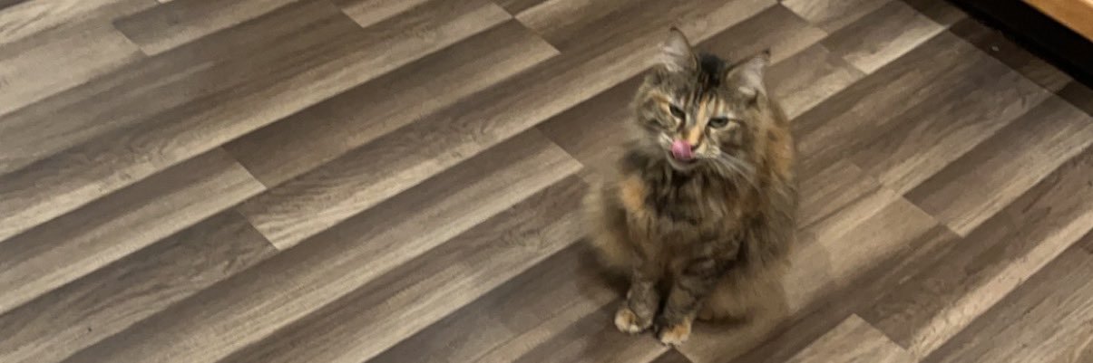 BaysMason's profile banner image