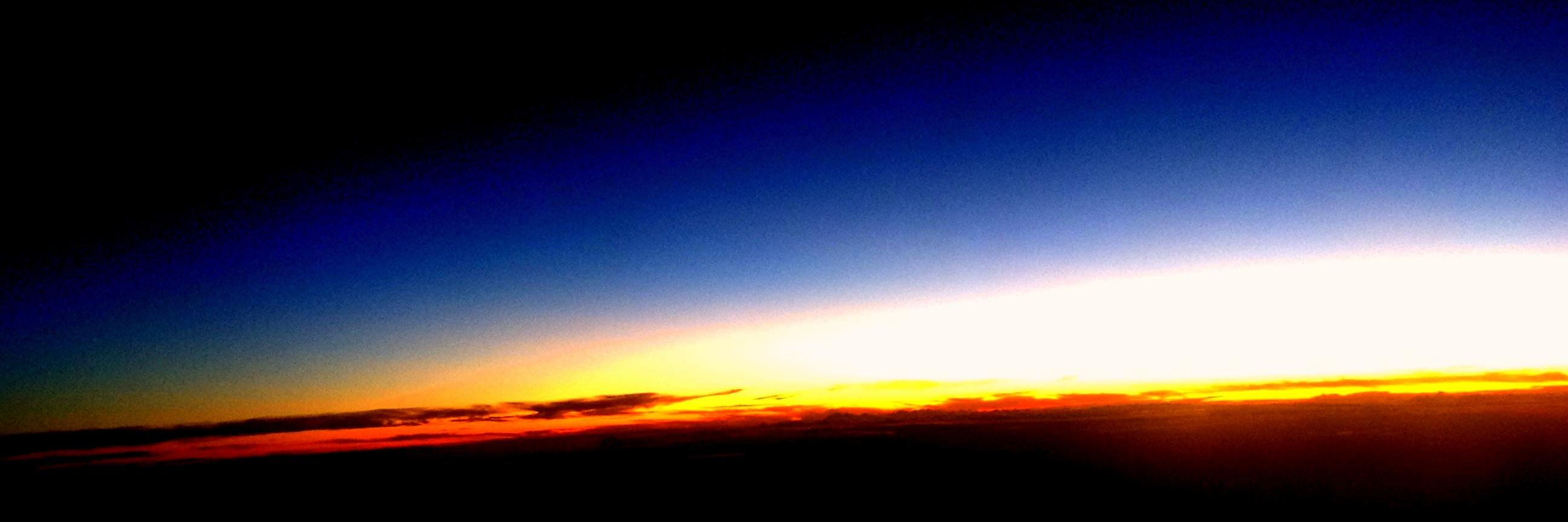 Cheryl Scheffer banner