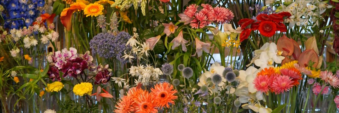 03_308's profile banner image