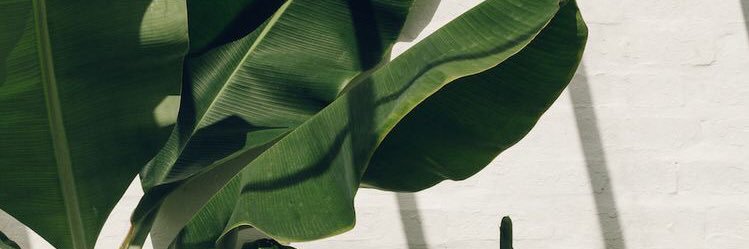 fikriafif_'s profile banner image