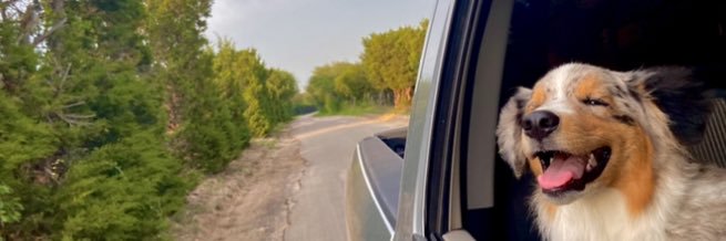 Deitrick16's profile banner image