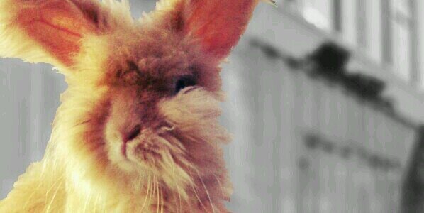 tasyarnt's profile banner image
