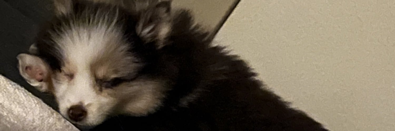 ZachCMC's profile banner image