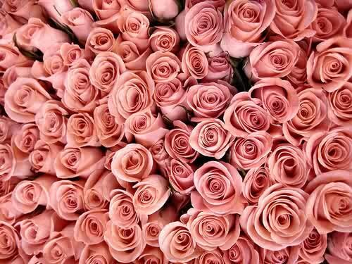 nadhiraa_diraa's profile banner image