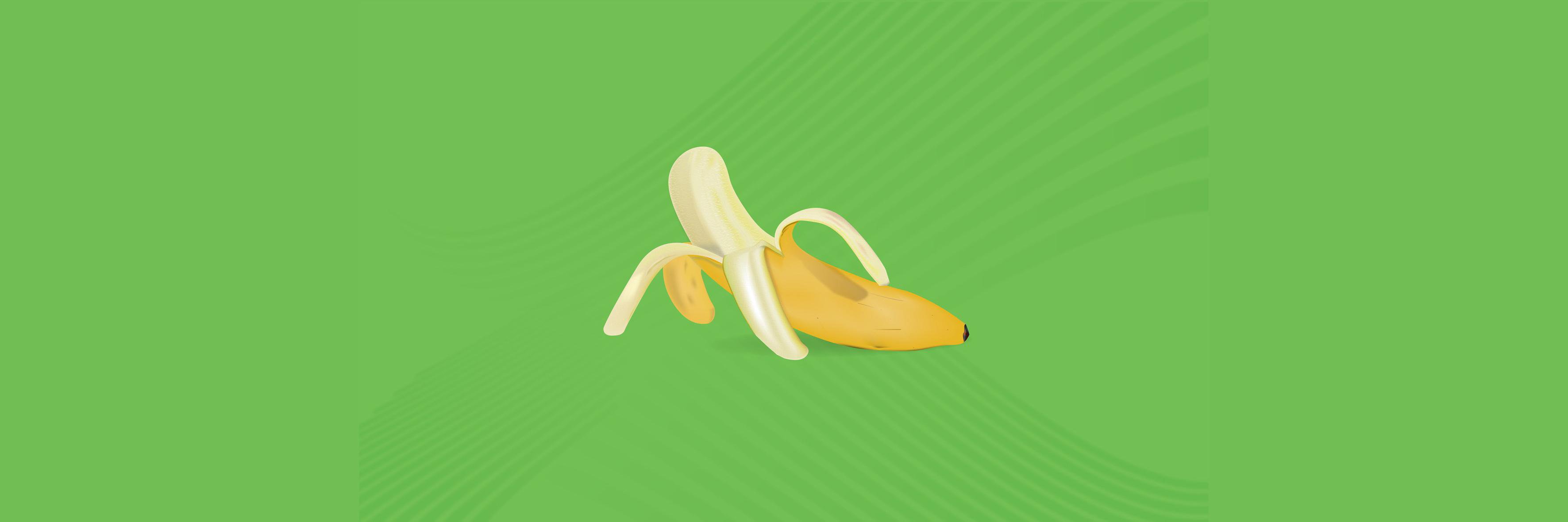 ScimmiaSapiens's profile banner image