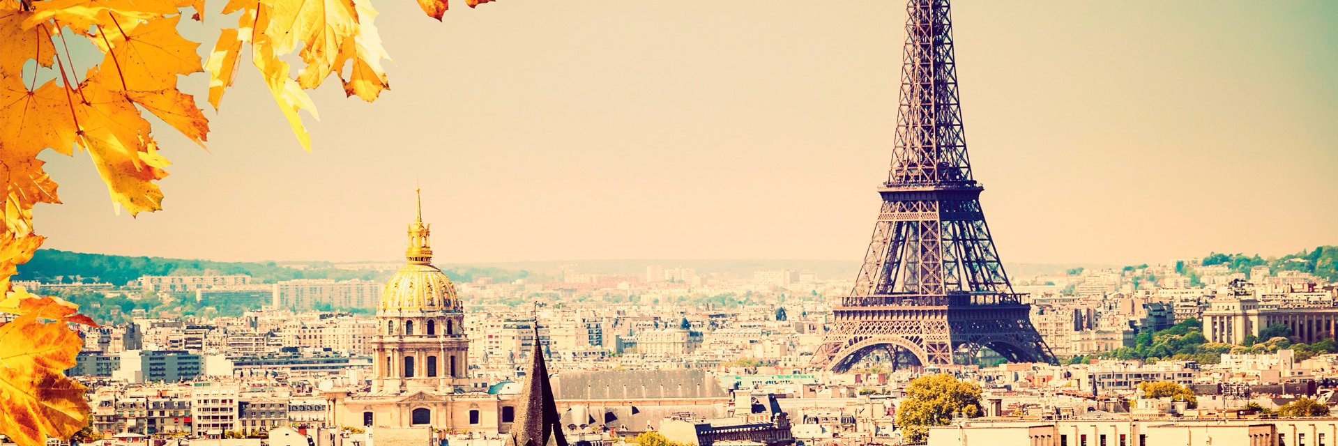 putrip14_'s profile banner image
