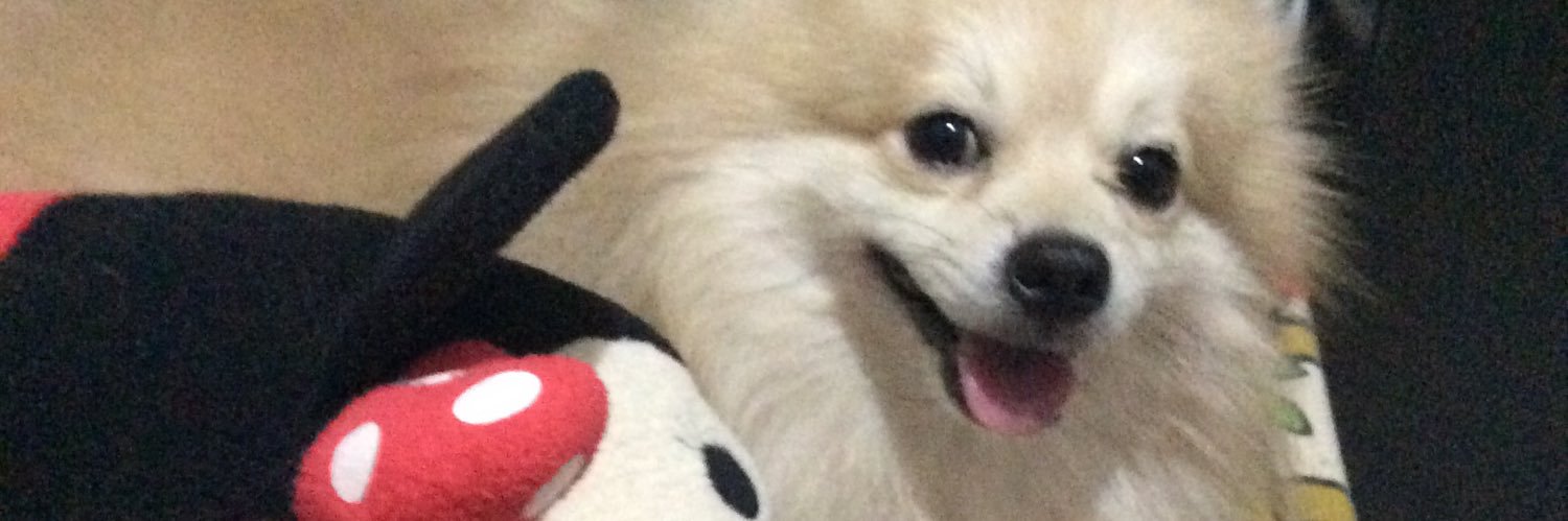 _11mjs's profile banner image