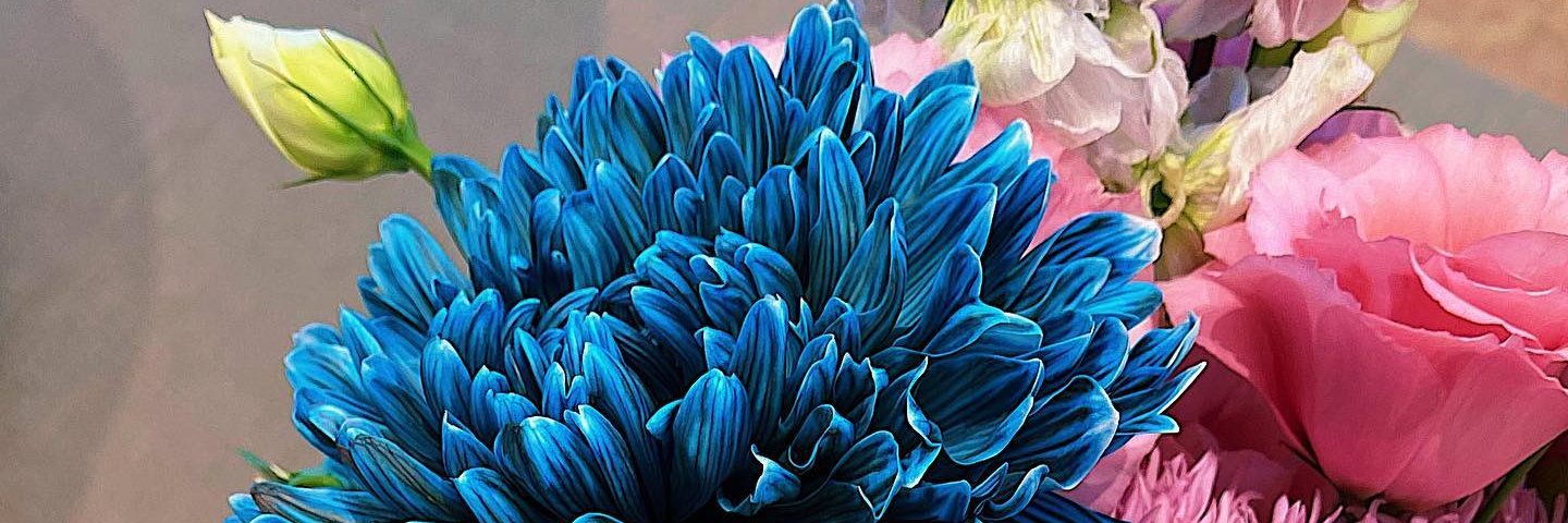 lantisari's profile banner image