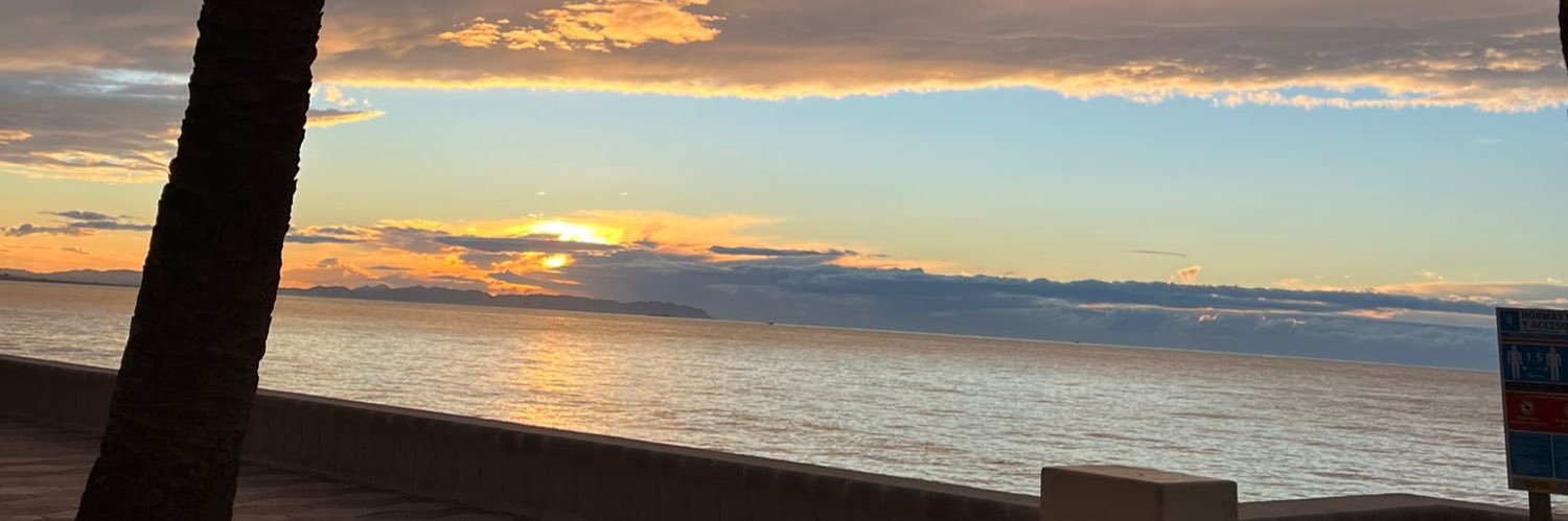 sonmirgar's profile banner image