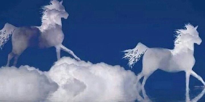 amn302's profile banner image