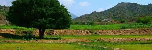 ابو احمد banner