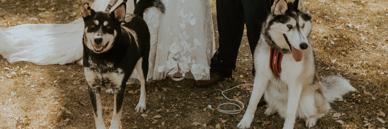 jfernau's profile banner image