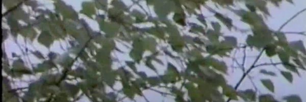 dylankf Profile Banner