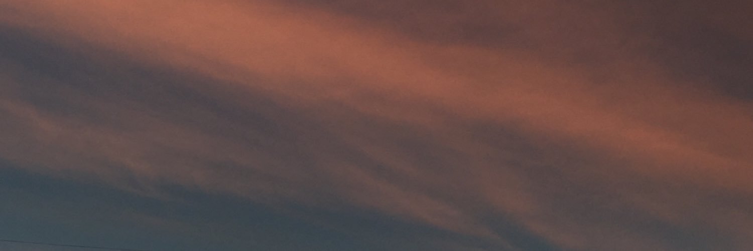 nikityshaa's profile banner image